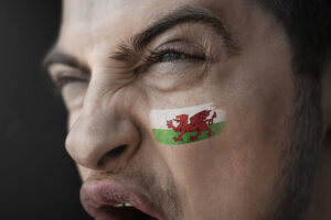 Welsh Fan Screaming at Goalie